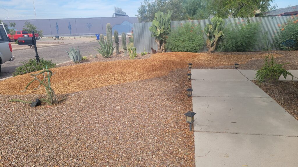 Rain garden basin with mulch