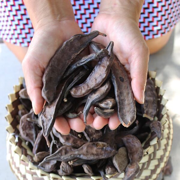 Carob - Image 7